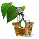 گلدان لامپی