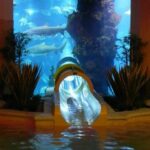 تونل آکواریم