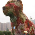 تزیین گلها به شکل سگ