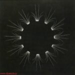 نقاشیهای نوک انگشتی اثر جودیت براون