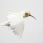 مجسمه های کاغذ رنگی