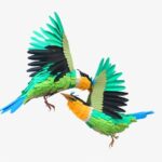 مجسمه های کاغذ رنگی