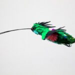 مجسمه های کاغذ رنگی