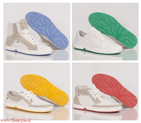 کفشی که پس از کاشته شدن در خاک رشد می کند کفشی که پس از کاشته شدن در خاک رشد می کند