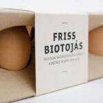 بسته بندی مقوایی تخم مرغ