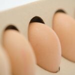 بسته بندی مقوایی تخم مرغ